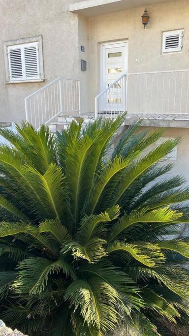 Apartment Biggy تْسافتات المظهر الخارجي الصورة